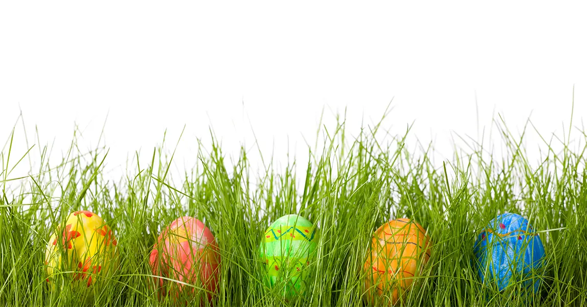Colorful Easter eggs partially hidden in tall green grass on a white background.