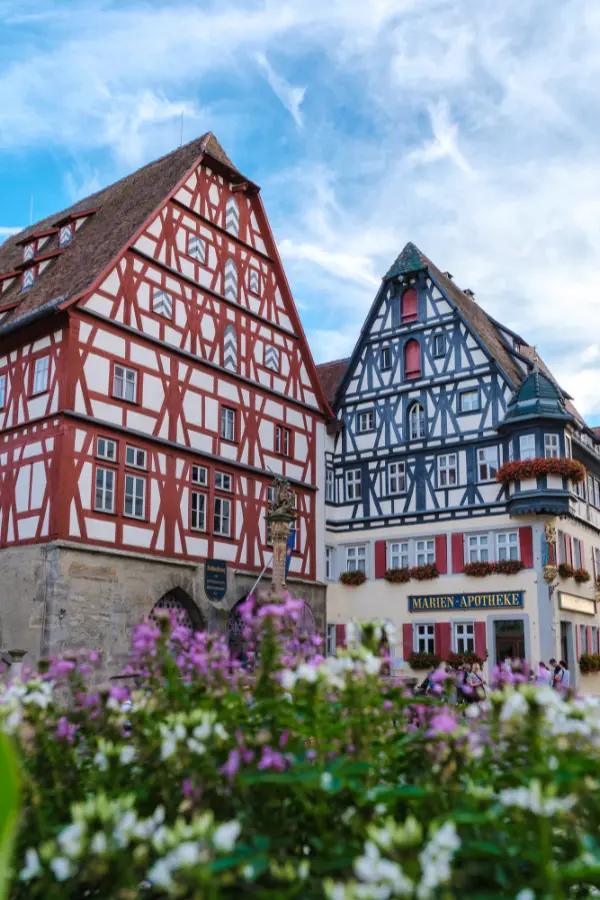 Two traditional half-timbered buildings in Rothenburg, Germany, with red and black detailing stand under a blue sky. A sign says "Marien-Apotheke." Purple and white flowers are in the foreground.