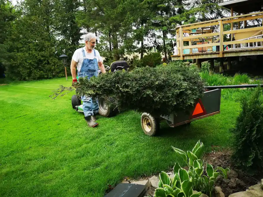 Early spring yard cleanup with mower and trailer, a practical “drive out winter” ritual at home.