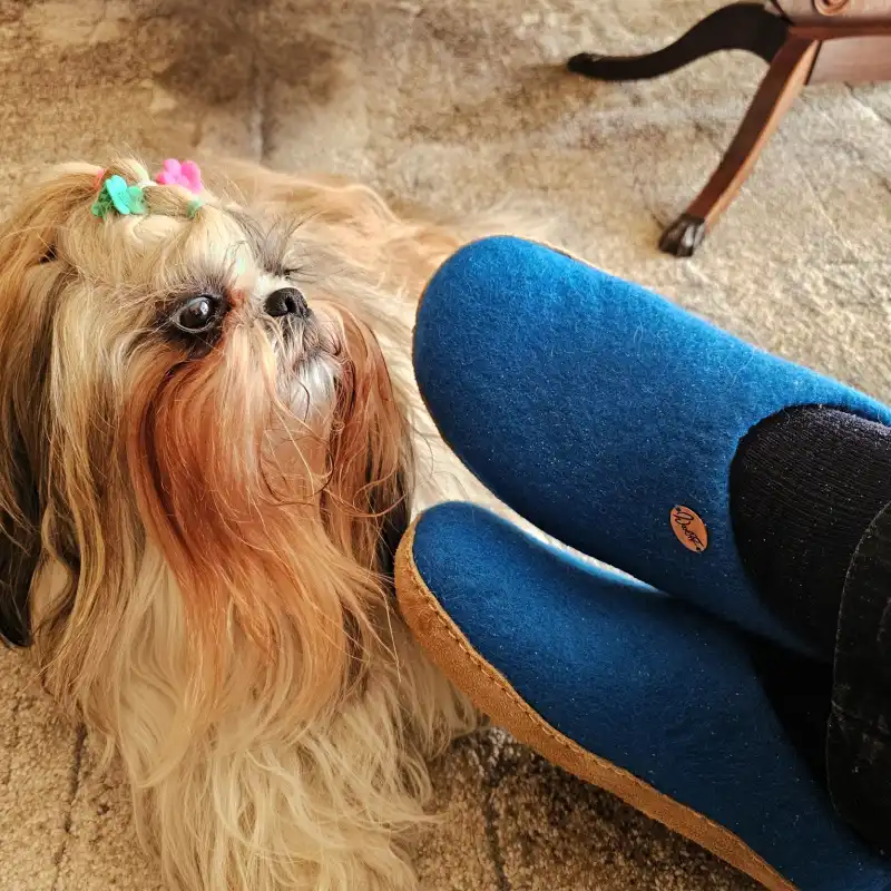 Side view of blue WoolFit slippers with the author's feet up and Dolly resting nearby on the floor.