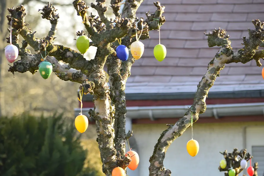 Tree with pruned branches displaying colorful hanging Easter egg decorations in a garden setting.