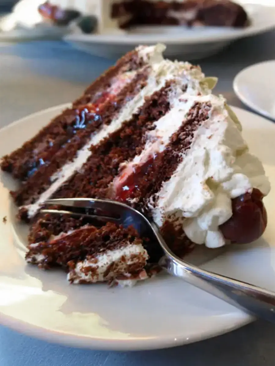 Slice of classic German Black Forest cake with layers of chocolate, cream, and cherries.