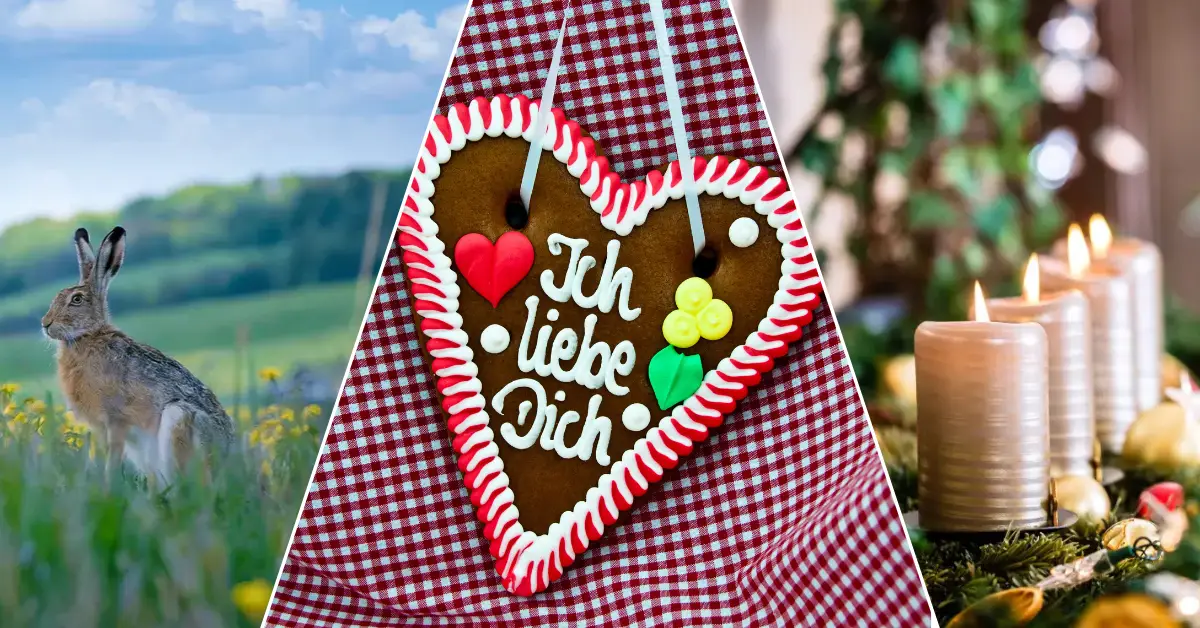 German Culture A split image representing German culture: on the left, a wild hare stands in a spring meadow; in the center, a decorated gingerbread heart with “Ich liebe Dich” hangs against a red-checkered cloth; and on the right, glowing Advent candles sit on a holiday wreath.