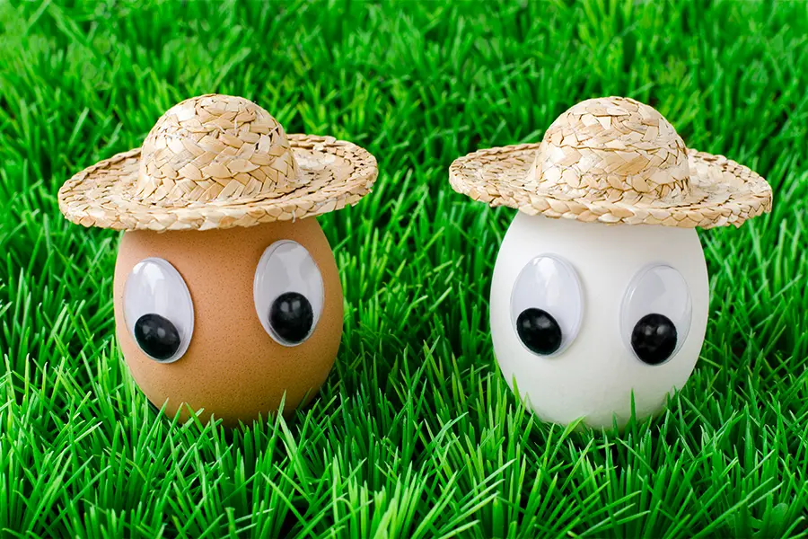 Two eggs with googly eyes and straw hats sit on grass. One egg is brown, the other is white.