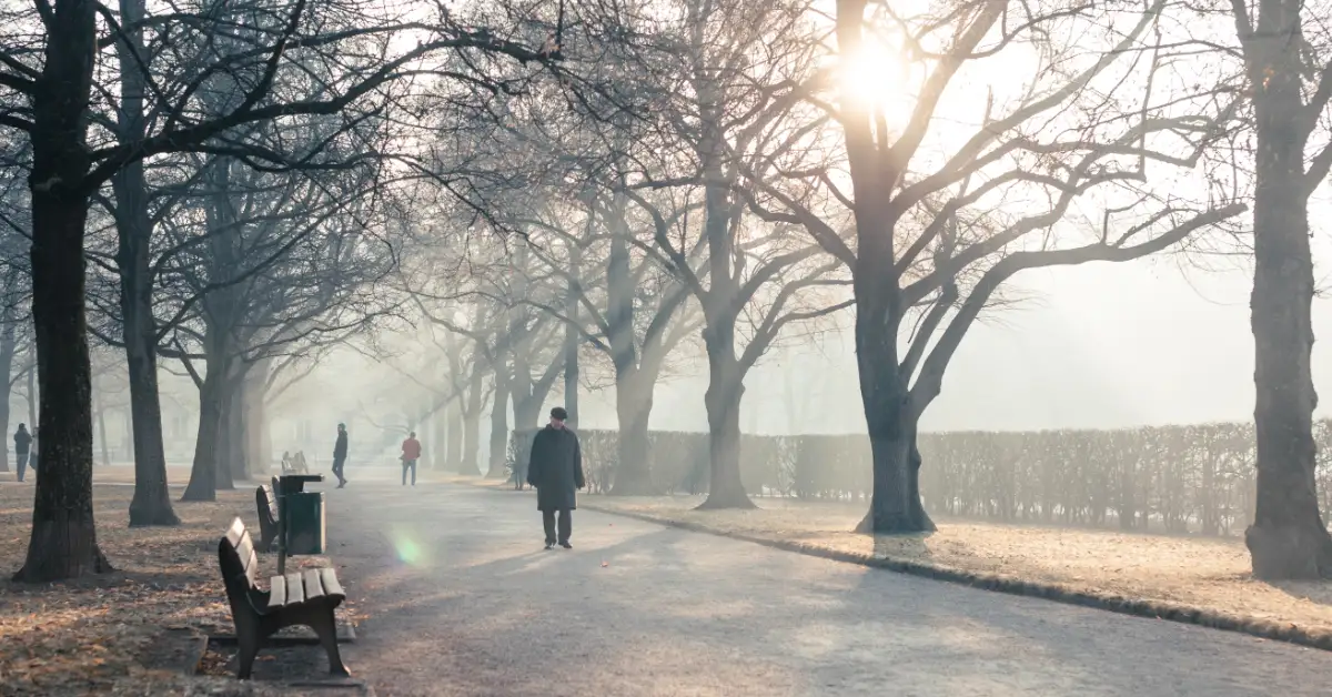 Foggy tree-lined park path at sunrise with walkers and benches, a quiet post-Karneval Lent in Germany mood.