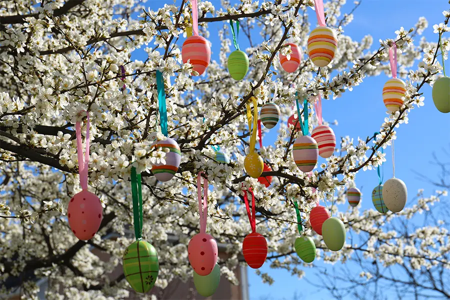 Easter eggs hanging from a blooming tree branch with white flowers against a blue sky.