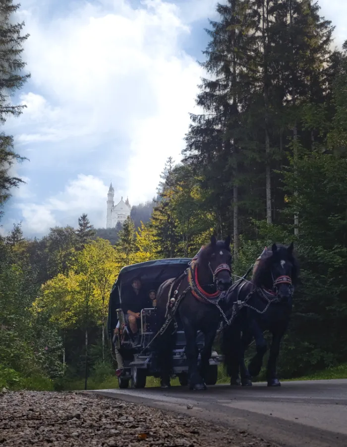 Horse carriage in Schwangau with Neuschwanstein Castle in the distance for German heritage coloring pages
