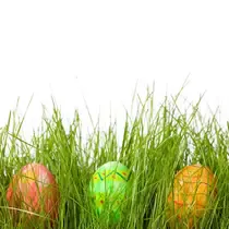 Three brightly colored Easter eggs—red, green, and orange—resting upright in tall, fresh grass with a white background.